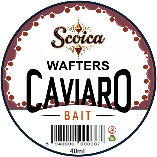 SCOICA CAVIARO WAFTERS