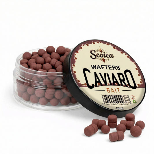 SCOICA CAVIARO WAFTERS