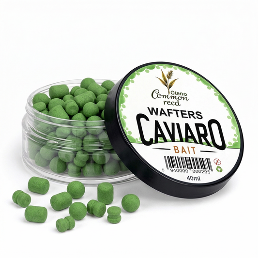 COMMONREED CAVIARO WAFTERS