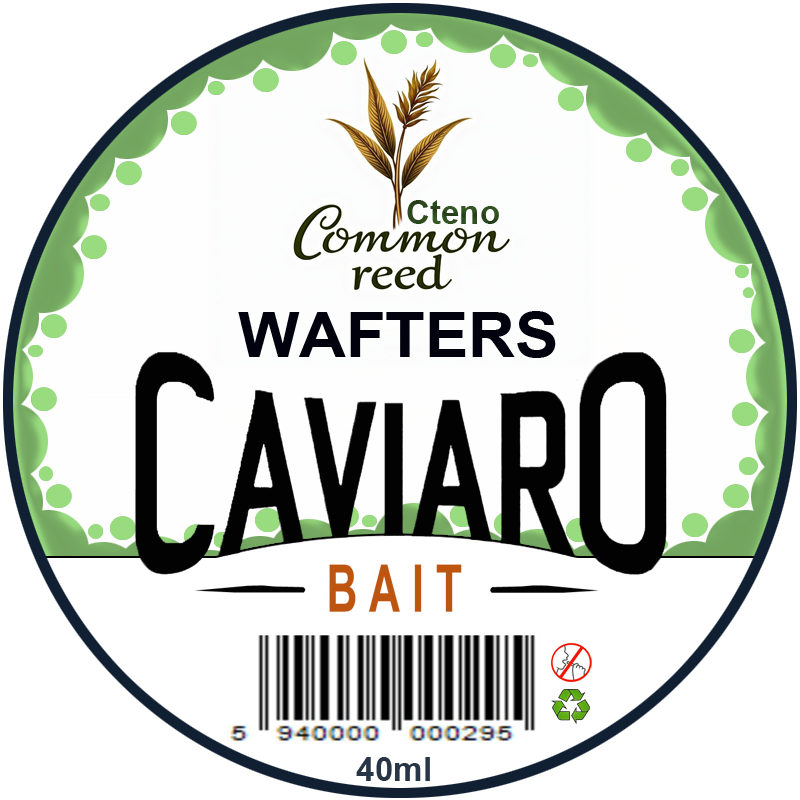 COMMONREED CAVIARO WAFTERS
