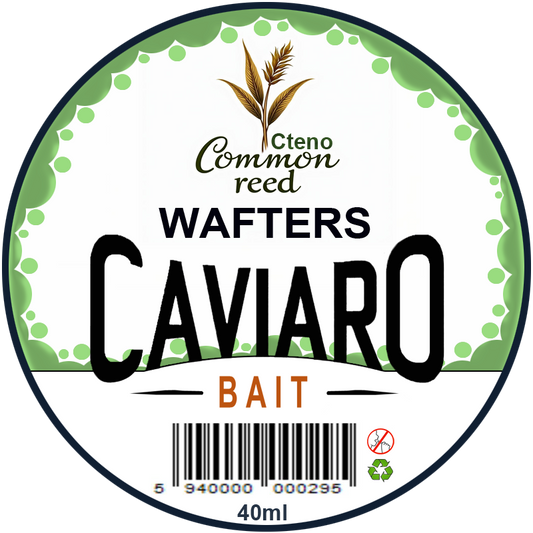 COMMONREED CAVIARO WAFTERS